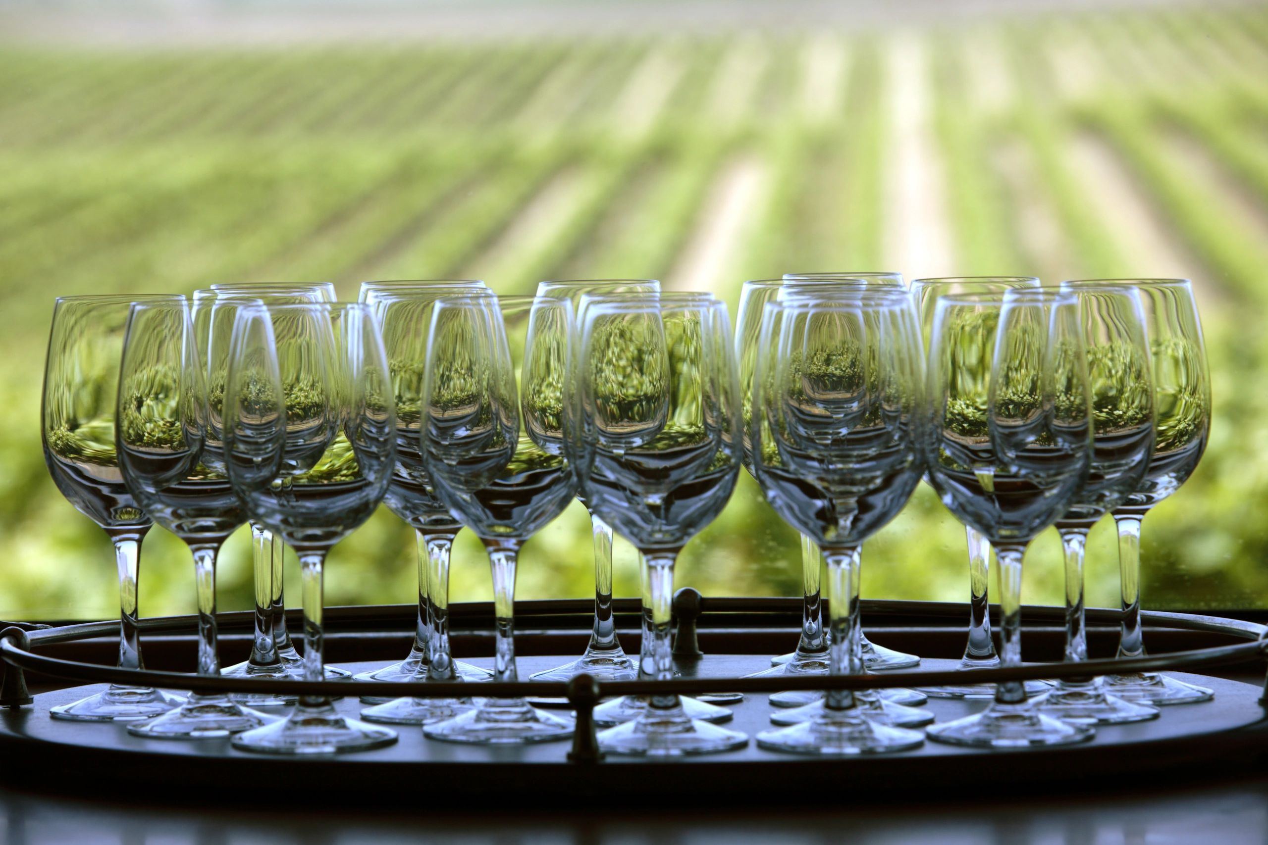 A flight of wine glasses ready for tasting